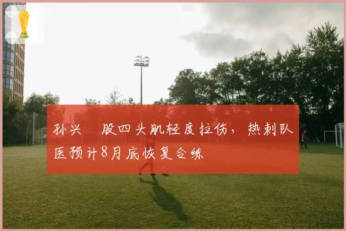 孙兴慜股四头肌轻度拉伤，热刺队医预计8月底恢复合练