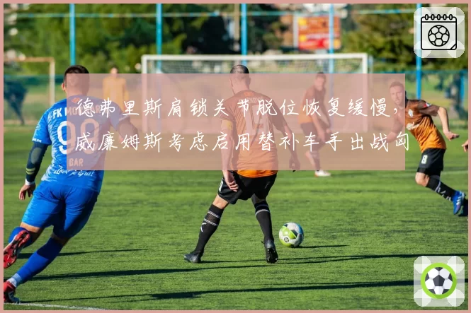 德弗里斯肩锁关节脱位恢复缓慢，威廉姆斯考虑启用替补车手出战匈牙利站