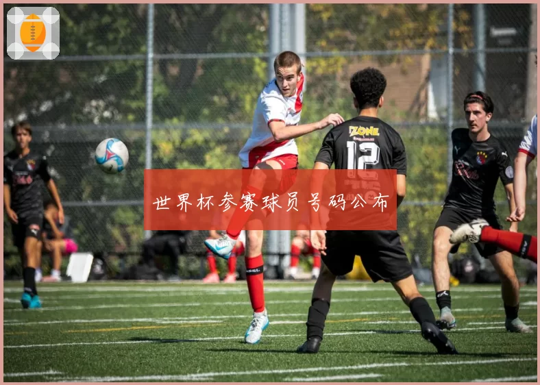 世界杯参赛球员号码公布