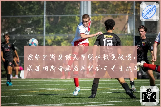 德弗里斯肩锁关节脱位恢复缓慢，威廉姆斯考虑启用替补车手出战匈牙利站