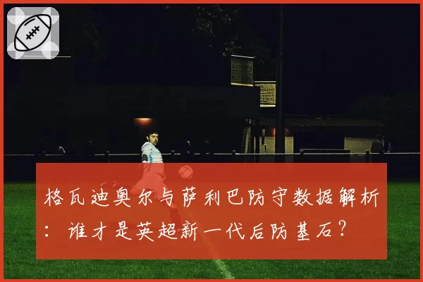 格瓦迪奥尔与萨利巴防守数据解析：谁才是英超新一代后防基石？